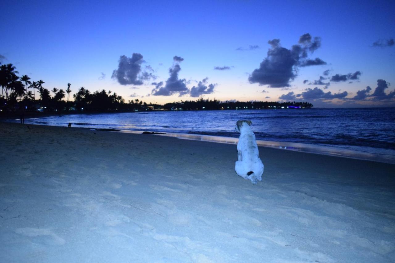 La Dolce Vita Beachfront Hotels, Las Terrenas, Samana Zewnętrze zdjęcie